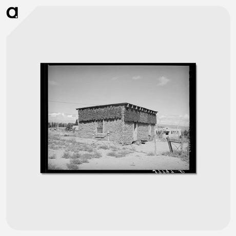 アートポストカード-Chile Peppers, Concho
 - ラッセル リー Postcard.