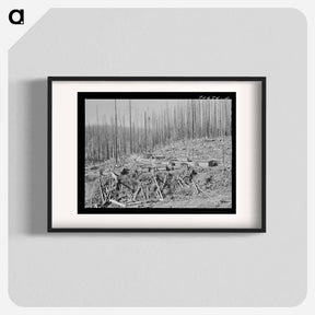 アートポスター-Tillamook Lumber Housing
 - ラッセル リー Poster.