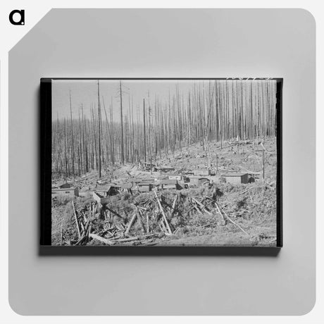アートパネル-Tillamook Lumber Housing
 - ラッセル リー Canvas.