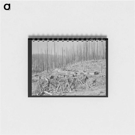 アートメモ帳-Tillamook Lumber Housing
 - ラッセル リー Memo.