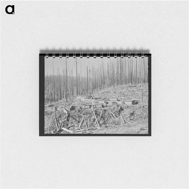 アートメモ帳-Tillamook Lumber Housing
 - ラッセル リー Memo.