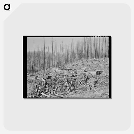 アートポストカード-Tillamook Lumber Housing
 - ラッセル リー Postcard.