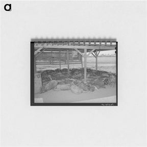 アートメモ帳-Hogs. Casa Grande Valley Farms, Pinal County, Arizona
 - ラッセル リー Memo.