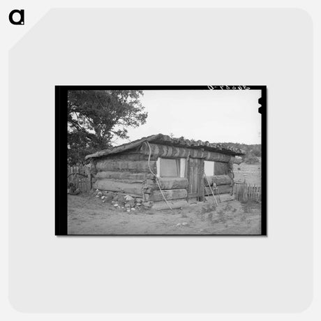 アートポストカード-Pie Town Homestead
 - ラッセル リー Postcard.