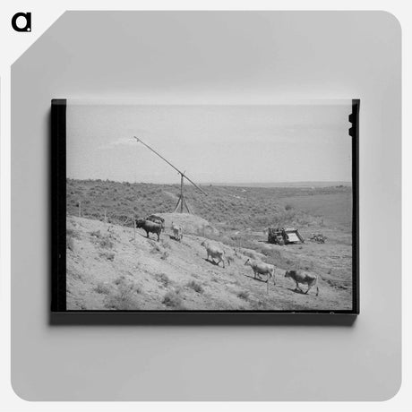 アートパネル-Nyssa Heights Farm
 - ラッセル リー Canvas.