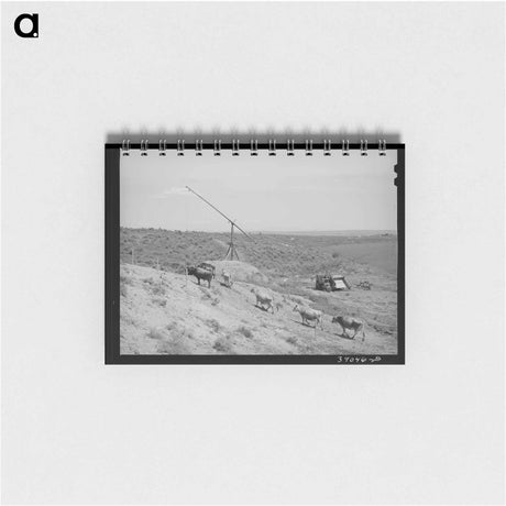 アートメモ帳-Nyssa Heights Farm
 - ラッセル リー Memo.