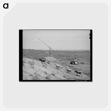 アートポストカード-Nyssa Heights Farm
 - ラッセル リー Postcard.