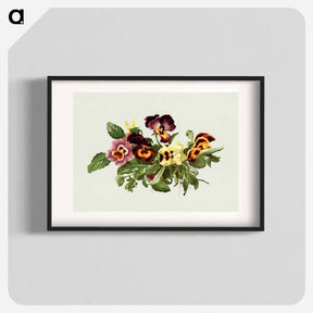 アートポスター-Pansies
 - ボストン公共図書館 Poster.