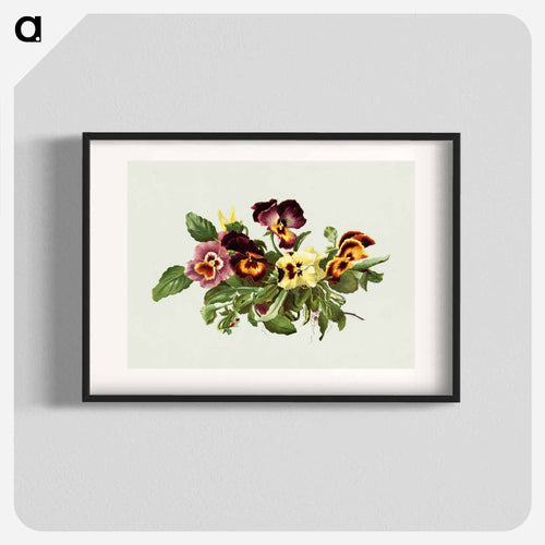 Pansies
 - ボストン公共図書館 Poster.