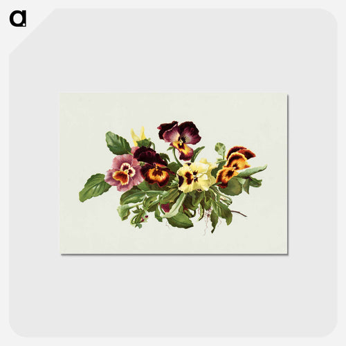 Pansies
 - ボストン公共図書館 Postcard.