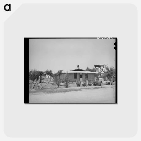 アートポストカード-Maricopa County Home
 - ラッセル リー Postcard.