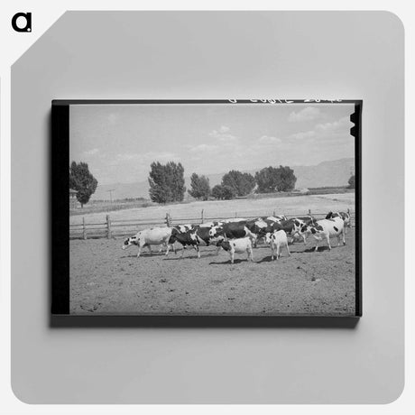 アートパネル-Cache County Dairy Herds
 - ラッセル リー Canvas.