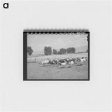 アートメモ帳-Cache County Dairy Herds
 - ラッセル リー Memo.
