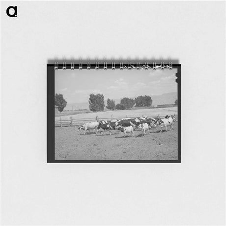 アートメモ帳-Cache County Dairy Herds
 - ラッセル リー Memo.