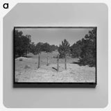 アートパネル-Grave in Mountain Cemetery
 - ラッセル リー Canvas.
