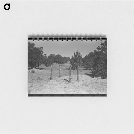 アートメモ帳-Grave in Mountain Cemetery
 - ラッセル リー Memo.