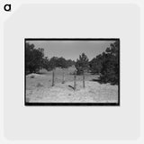 アートポストカード-Grave in Mountain Cemetery
 - ラッセル リー Postcard.