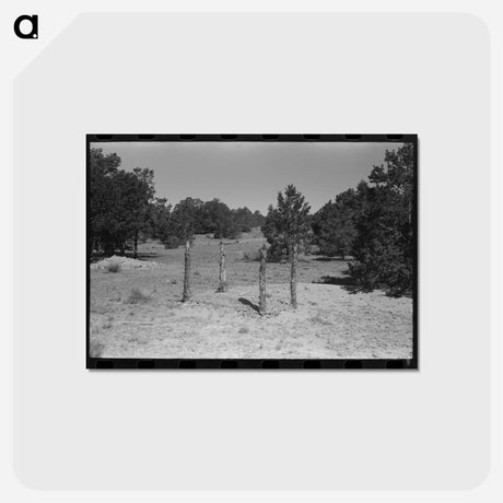 アートポストカード-Grave in Mountain Cemetery
 - ラッセル リー Postcard.