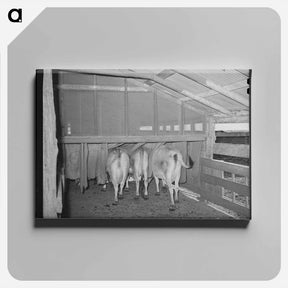 アートパネル-Cows in Burlap Bags
 - ラッセル リー Canvas.