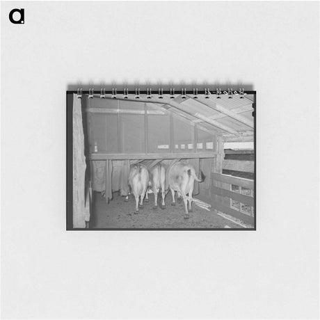 アートメモ帳-Cows in Burlap Bags
 - ラッセル リー Memo.