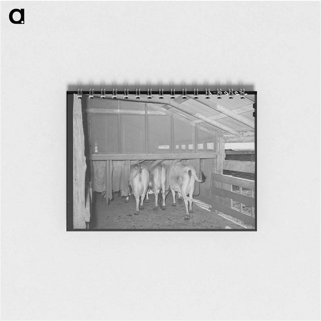 アートメモ帳-Cows in Burlap Bags
 - ラッセル リー Memo.