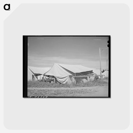 アートポストカード-Tent Home at Migratory Farm Labor Camp
 - ラッセル リー Postcard.