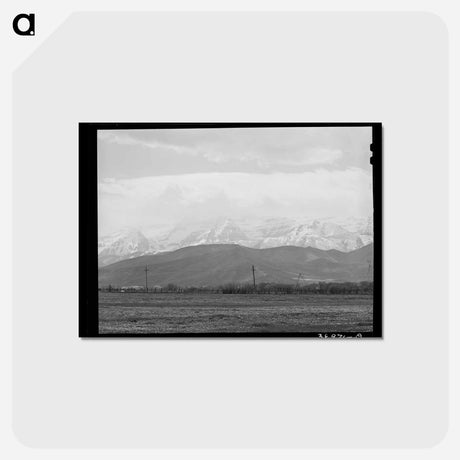 アートポストカード-Spring Pasture, Uinta Mountains
 - ラッセル リー Postcard.