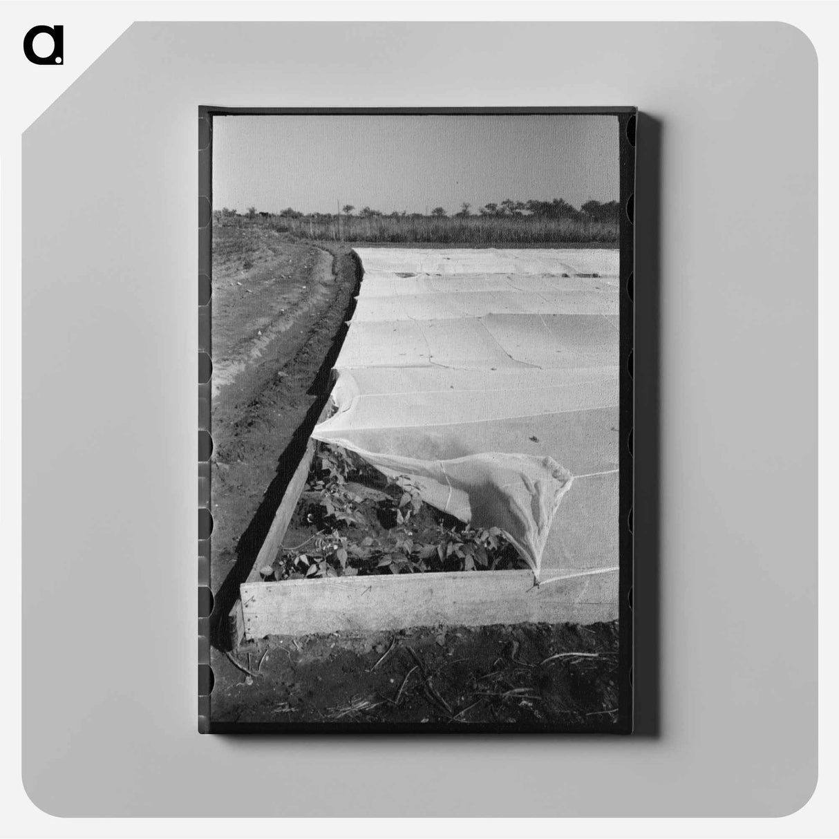 アートパネル-Corner of Frame Garden
 - ラッセル リー Canvas.