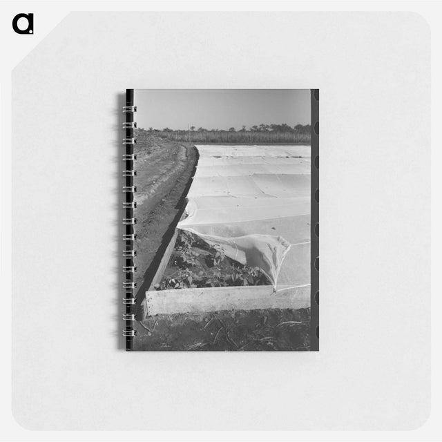 アートメモ帳-Corner of Frame Garden
 - ラッセル リー Memo.