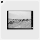 アートポストカード-Remains of Lumbering Operations
 - ラッセル リー Postcard.