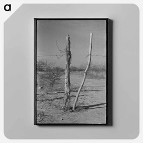 アートパネル-Fence and Gate, Laredo, Texas
 - ラッセル リー Canvas.