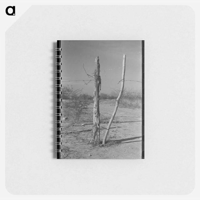 アートメモ帳-Fence and Gate, Laredo, Texas
 - ラッセル リー Memo.