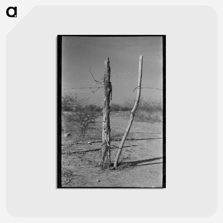 アートポストカード-Fence and Gate, Laredo, Texas
 - ラッセル リー Postcard.