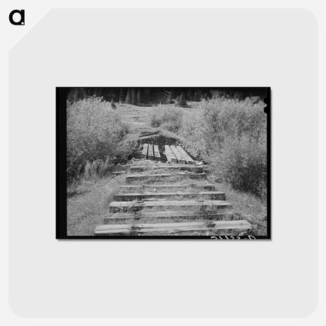 アートポストカード-Abandoned Ties
 - ラッセル リー Postcard.