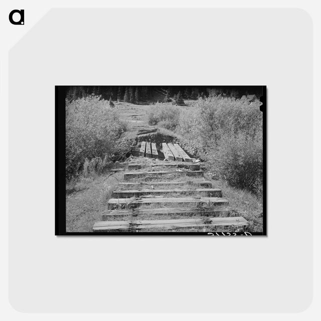 アートポストカード-Abandoned Ties
 - ラッセル リー Postcard.