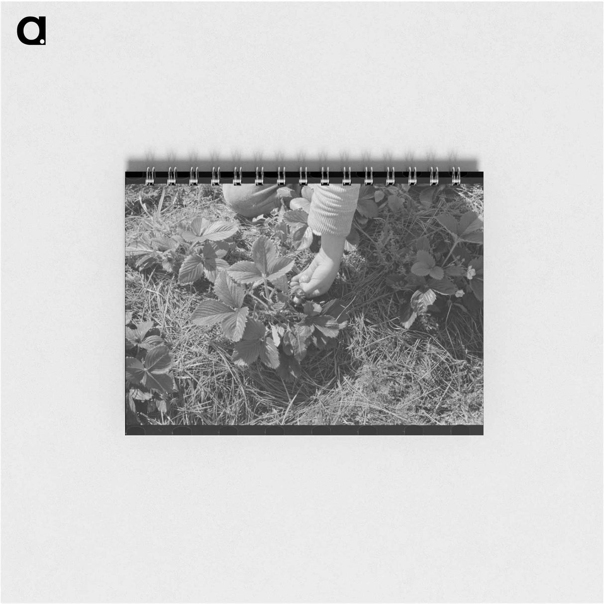 アートメモ帳-Strawberry Picking
 - ラッセル リー Memo.