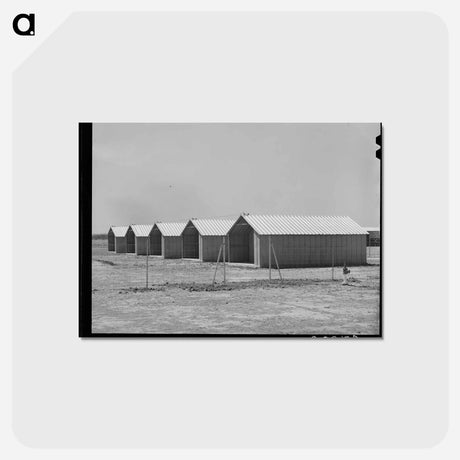 アートポストカード-Migrant Camp Isolation Units
 - ラッセル リー Postcard.