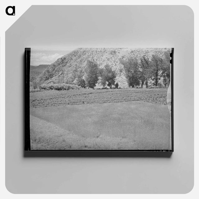 アートパネル-Wheat and Chili Peppers
 - ラッセル リー Canvas.