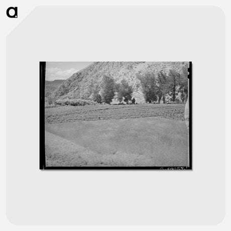 アートポストカード-Wheat and Chili Peppers
 - ラッセル リー Postcard.