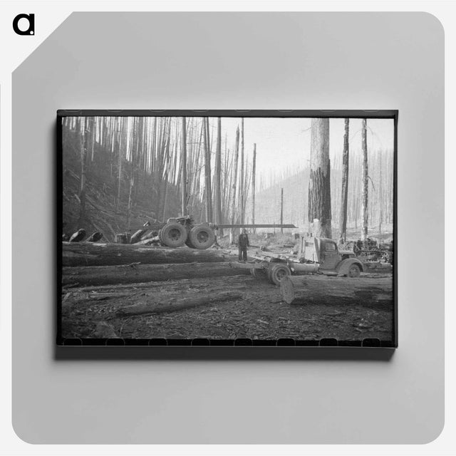 アートパネル-Logging Truck, Tillamook County
 - ラッセル リー Canvas.