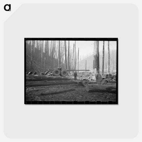アートポストカード-Logging Truck, Tillamook County
 - ラッセル リー Postcard.