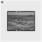 アートポストカード-FSA Labor Camp Homes
 - ラッセル リー Postcard.