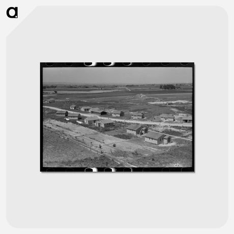 アートポストカード-FSA Labor Camp Homes
 - ラッセル リー Postcard.