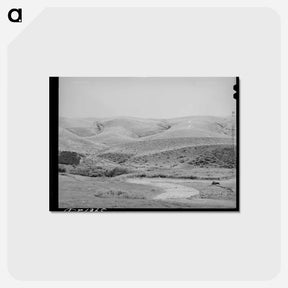アートポストカード-Walla Walla Wheat Field
 - ラッセル リー Postcard.