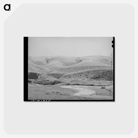アートポストカード-Walla Walla Wheat Field
 - ラッセル リー Postcard.