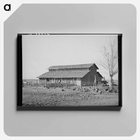 アートパネル-Turkeys and Barn
 - ラッセル リー Canvas.