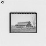 アートメモ帳-Turkeys and Barn
 - ラッセル リー Memo.