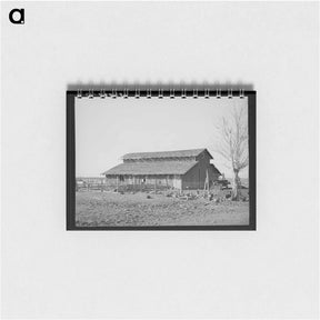 アートメモ帳-Turkeys and Barn
 - ラッセル リー Memo.