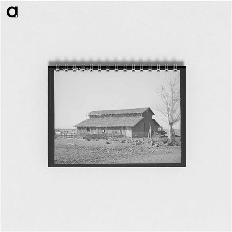 アートメモ帳-Turkeys and Barn
 - ラッセル リー Memo.