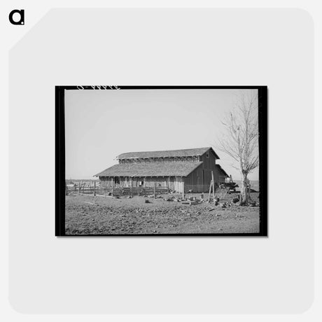 アートポストカード-Turkeys and Barn
 - ラッセル リー Postcard.